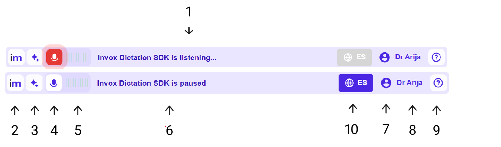 Dictation Bar Component elements